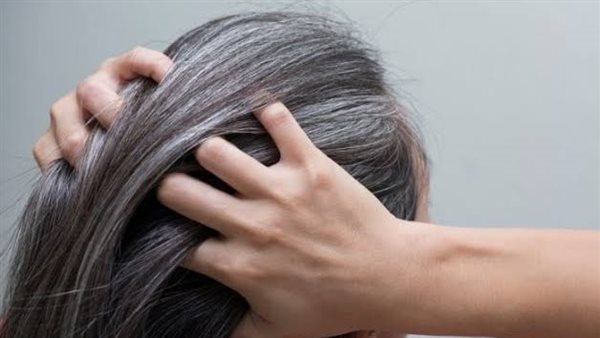 أفضل علاج طبيعي للشعر الأبيض.. وصفات مجربة غير مكلفة
