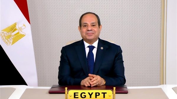 بدر عبد العاطي يلتقي نائب وزير الخارجية الروسي ..مؤتمر طبي حول علاج أورام الثدي والجهاز التناسلي