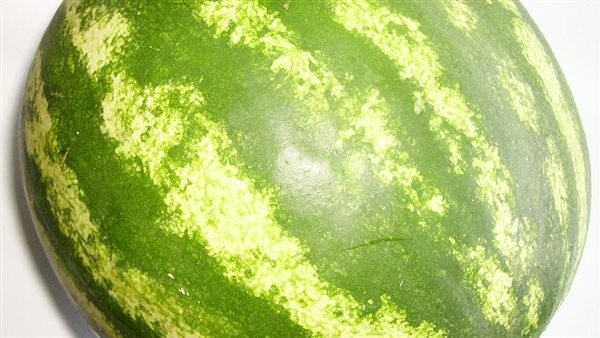 أبرزها مكافحة السرطان.. 10 فوائد للبطيخ الأحمر