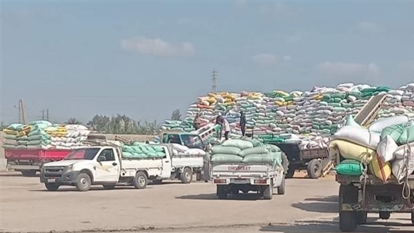 استمرار استقبال محصول القمح المحلي للمواقع التخزينية بالشرقية