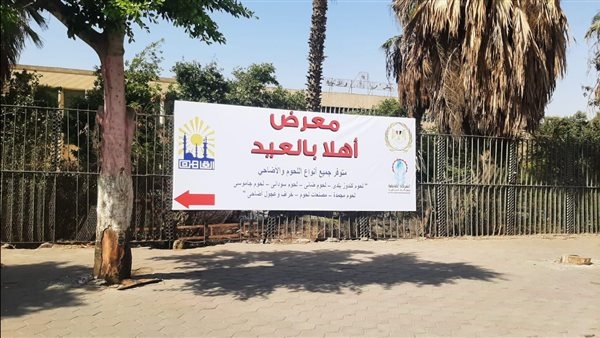 محافظ القاهرة: افتتاح معرض أهلًا بالعيد بميدان السواح في الأميرية