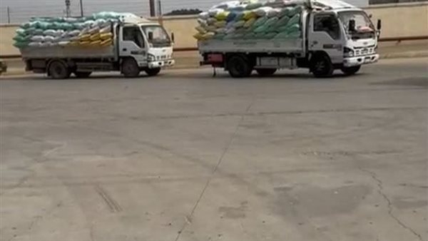 استقبال 556 طن من الأقماح المحلية بالشرقية