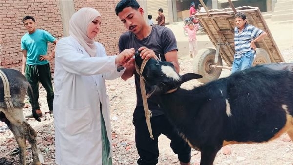 بيطري الشرقية يُنظم قافلة بيطرية توعوية وقائية مجانية بقرية ميت حمل ببلبيس