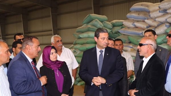بنسبة 160٪؜.. توريد 4100 طن قمح إلى شون ومخازن دمباط
