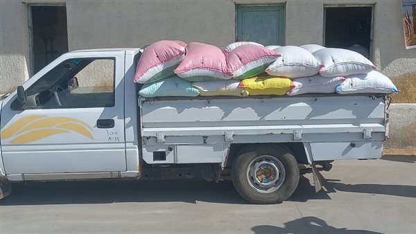 محافظ البحيرة: تورد أكثر من 248 ألف طن قمح منذ بدء الموسم