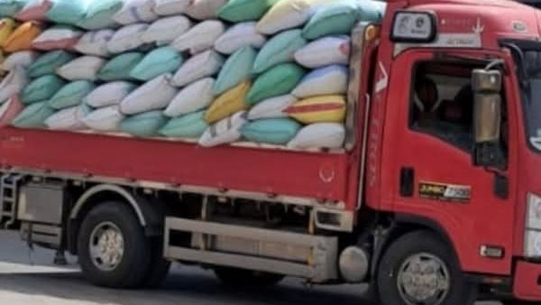 استمرار تدفق الأقماح المحلية لشون وصوامع محافظة الشرقية