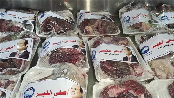 «أضحى الخير» يرسم البسمة على وجوه 5 آلاف أسرة بالوادي الجديد.. صور