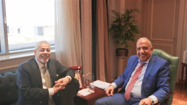 وزير الكهرباء يبحث مع ايميا باور الإماراتية زيادة التعاون في مجالات الطاقة المتجددة
