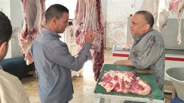 ضبط 113 مخالفة تموينية متنوعة بمحافظة الفيوم .. صور