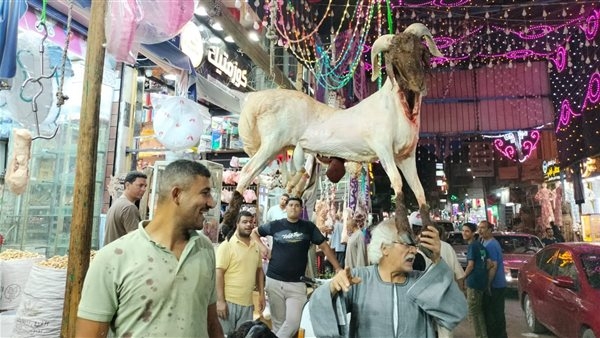 "خروف معلق".. محال الجزارة بالفيوم تجذب المواطنين لشراء الأضحية