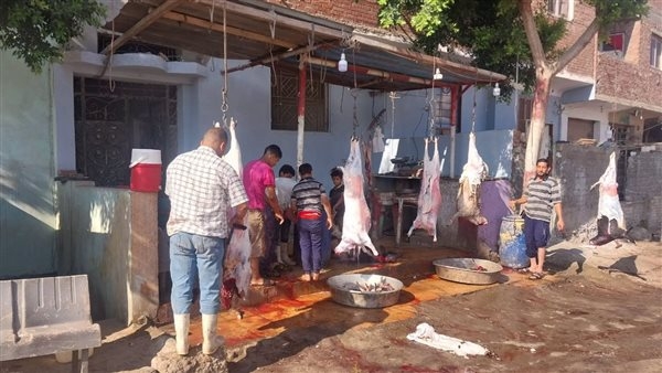 حكاية الأضحية داخل البيوت مع الأهل والأسر في أيام عيد الأضحى المبارك