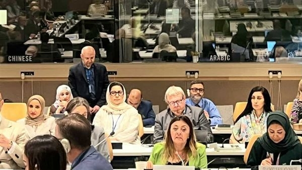 إيمان كريم: مصر أول دولة عربية تُصدر عملة معدنية تذكارية بشعار "قادرون باختلاف"