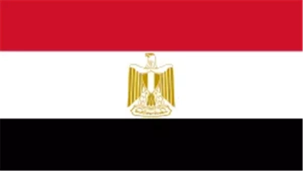 أخبار مصر اليوم..‎ وزارة الخارجية والهجرة تتابع أوضاع الجالية المصرية في إيران