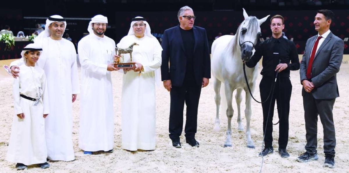 مربط دبي يتألق في «دولية أبوظبي لجمال الخيل العربية»