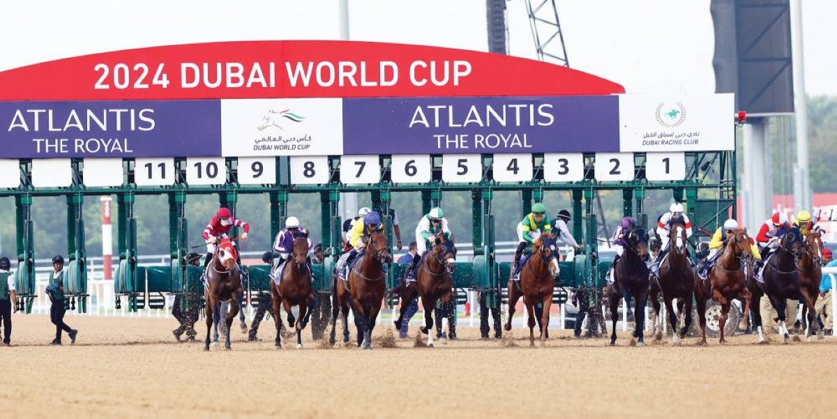 9 خيول تتنافس في «ديربي الإمارات»
