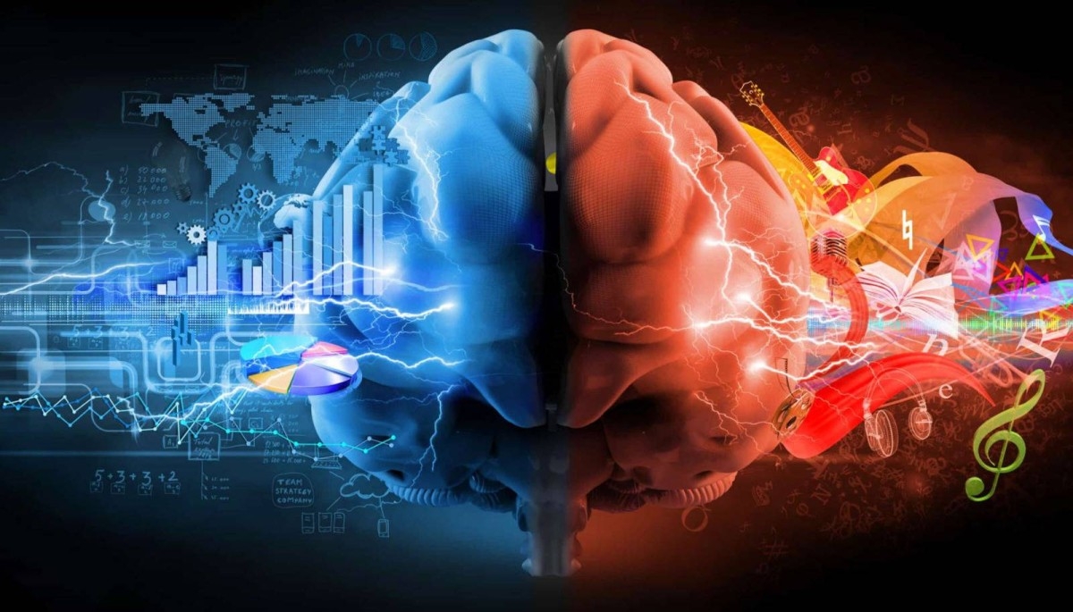 خرافة علمية.. هل أنت من أصحاب الدماغ الأيمن أم الأيسر؟