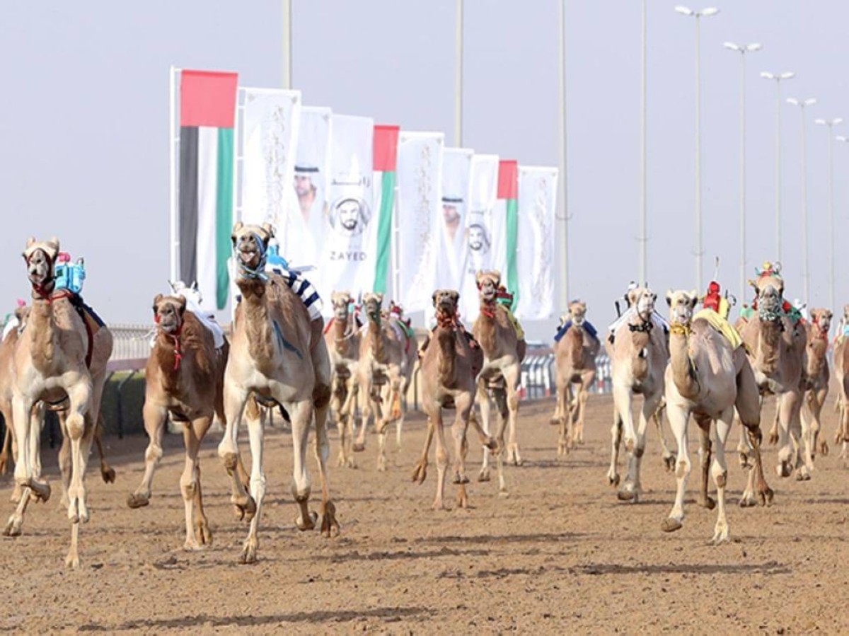 مهرجان المرموم.. ملحمة سنوية تُجسد الأصالة الإماراتية