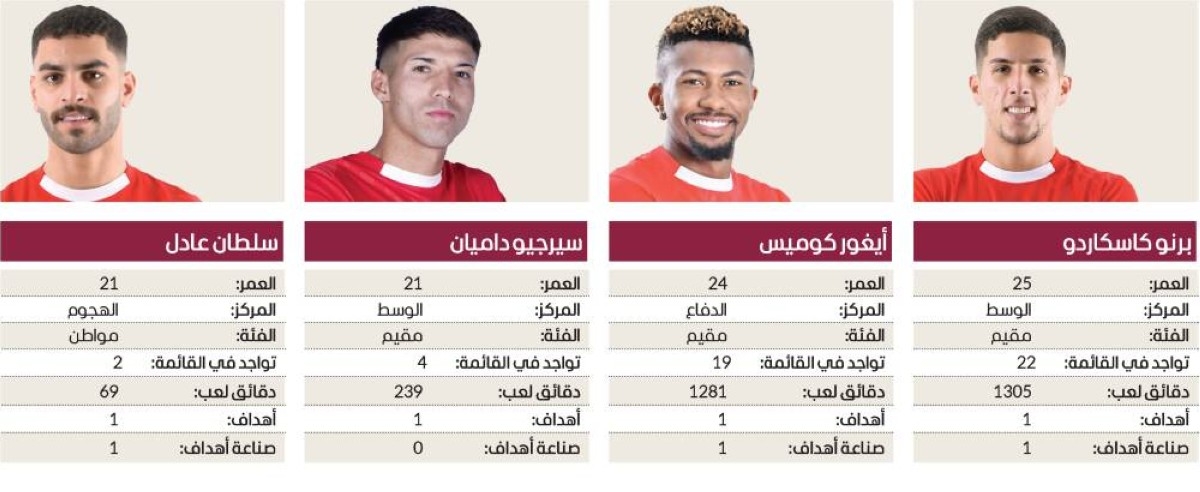الفرسان الـ 15