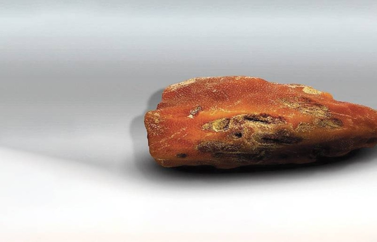 قطعة كهرمان بوزن 1 كغم وعمر 45 مليون سنة