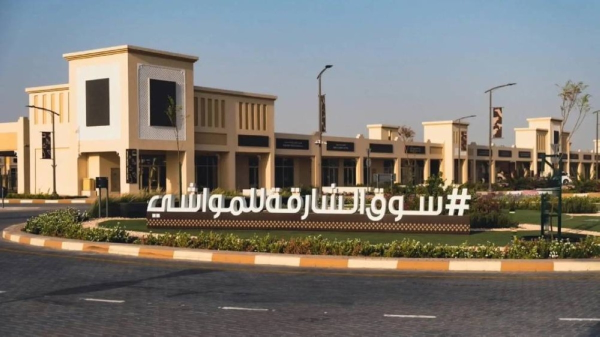 «سوق الشارقة للمواشي» يستكمل استعداداته للعيد