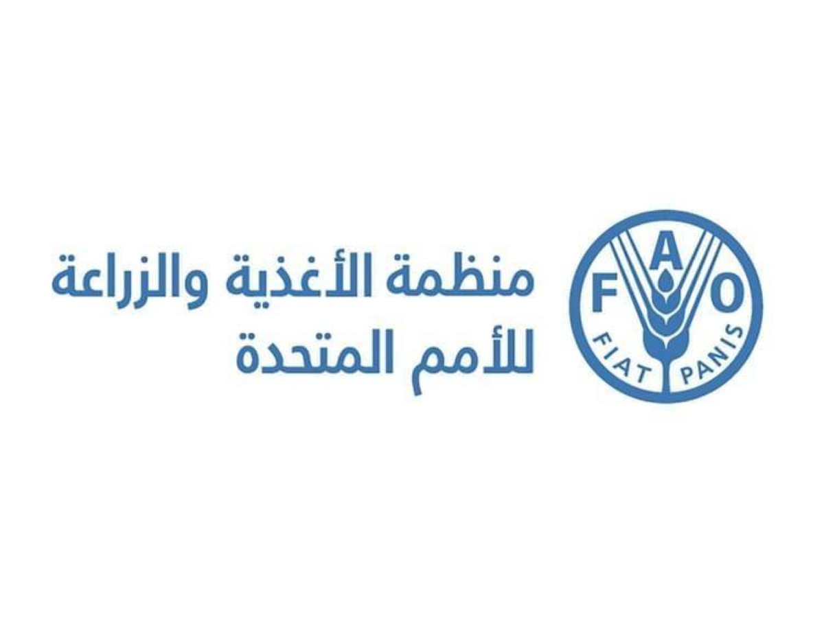 " فاو" :أكثر من 46 مليون هكتار في المنطقة العربية تظهر معدلات تدهور مثيرة للقلق