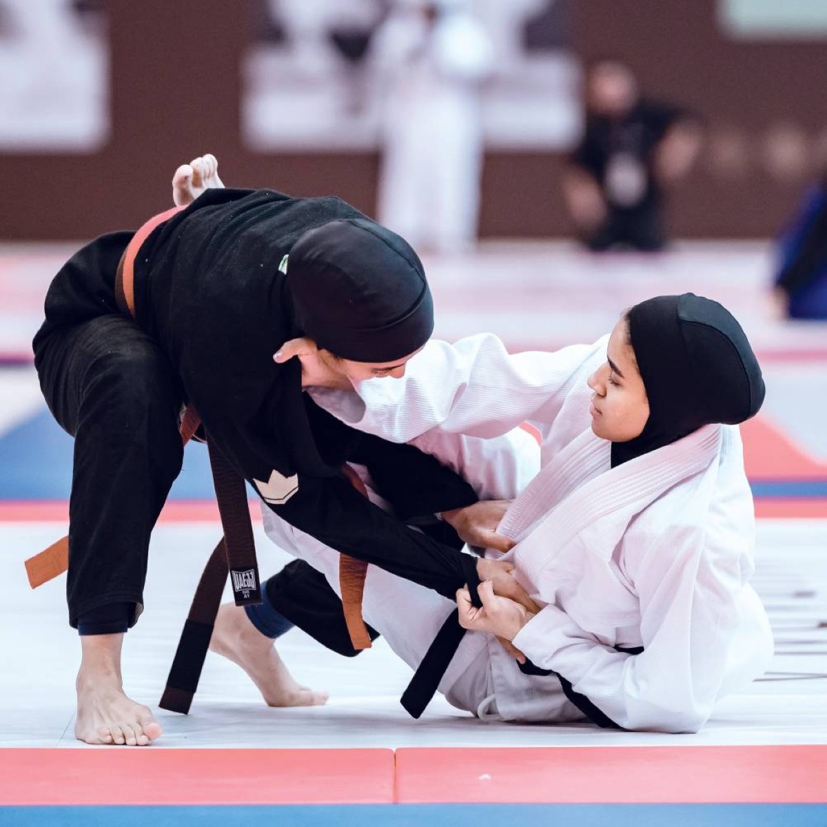 الجولة 4 لبطولة خالد بن محمد بن زايد للجوجيتسو اليوم