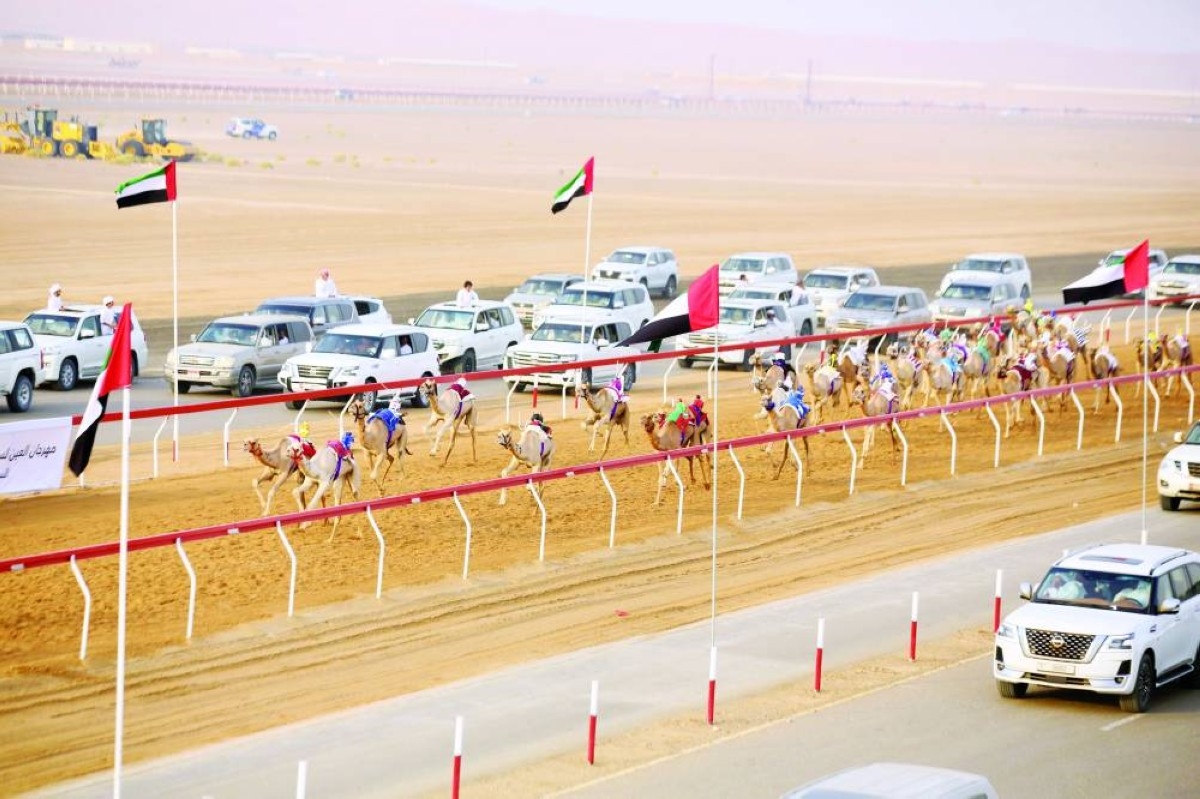 «هملولة» تتألق في مهرجان العين لسباقات الهجن