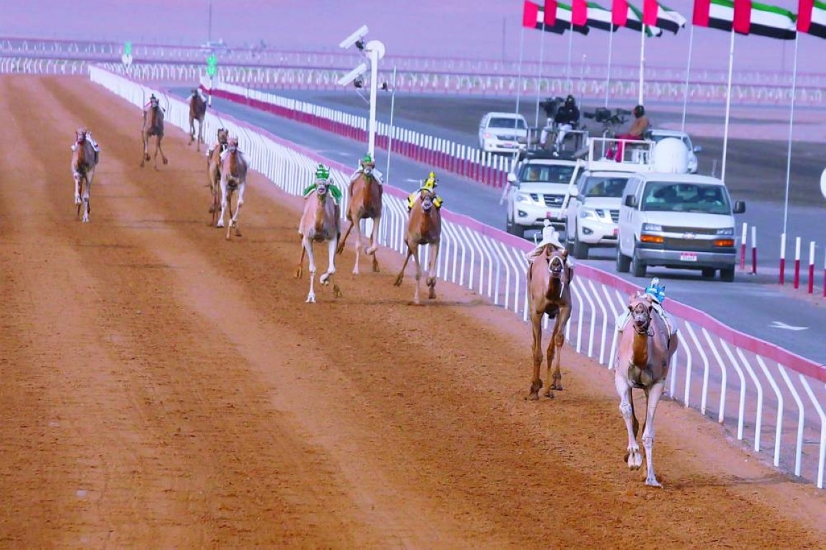 «الفارسة» تظفر بناموس افتتاح تمهيدي «هجن العين»
