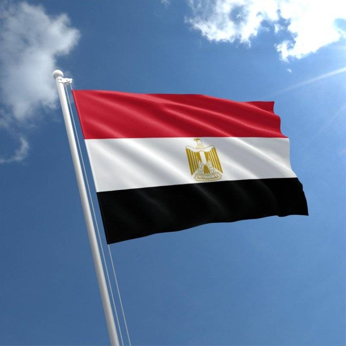 مصر ترحب بالتوقيع على إعلان مبادئ لإنهاء الصراع في الكونغو