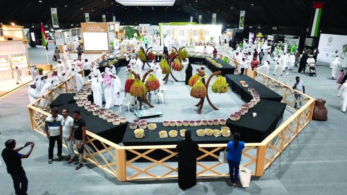 مهرجانات الرطب.. احتفاء بتراث النخيل ورؤية زايد للأمن الغذائي