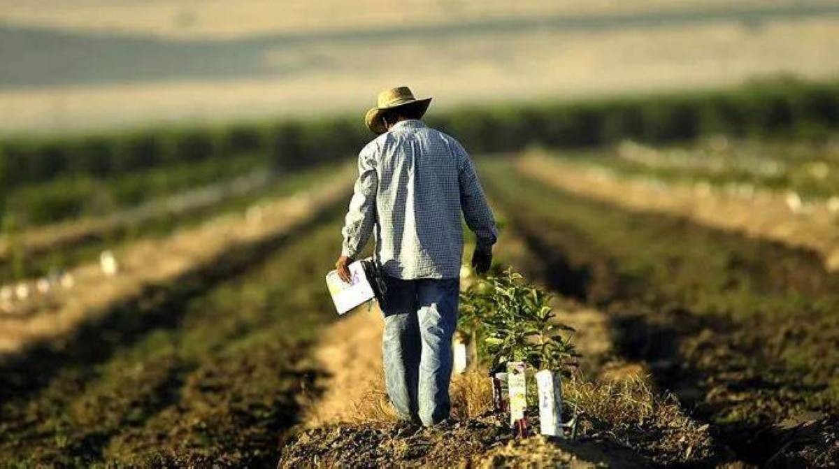 حملة ترامب ضد المهاجرين تعصف بالأمن الغذائي الامريكي