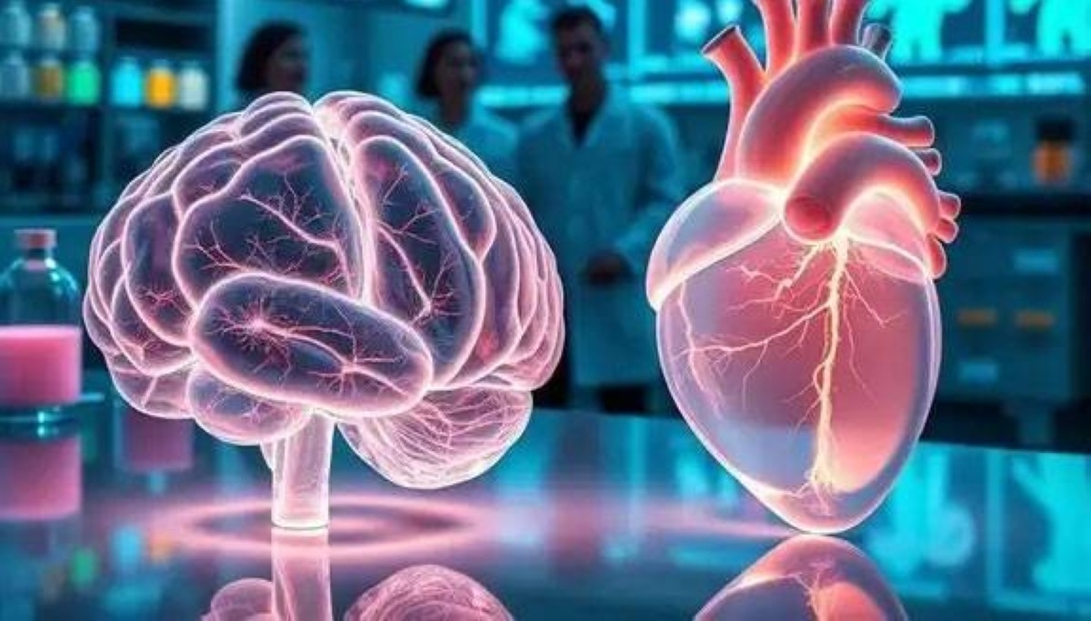 الزجاج الأيوني.. تقنية مذهلة لرؤية الدماغ والقلب والكبد شفافة بلا تشريح