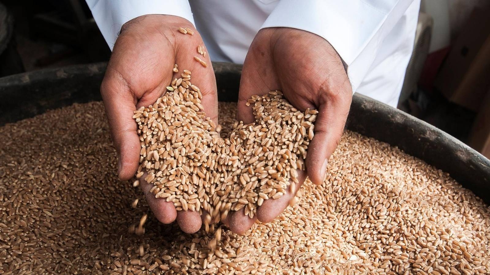 السعودية ترسي المناقصة الثالثة في 2025 لاستيراد 621 ألف طن قمح