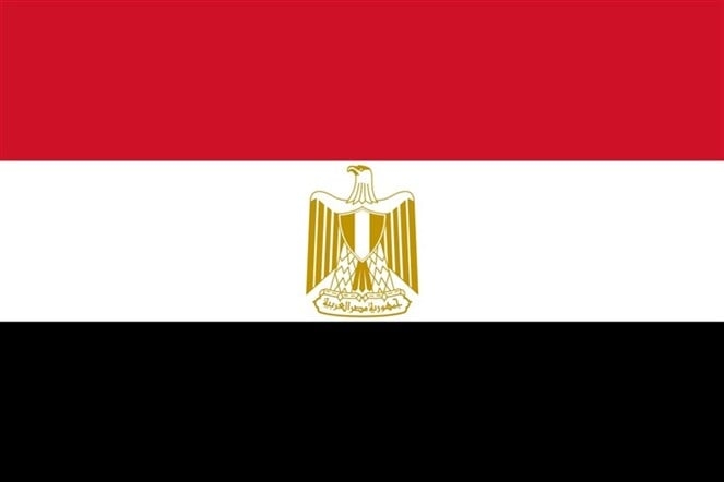 البنتاغون: الخارجية الأميركية توافق على بيع محتمل لأسلحة متطورة لمصر بتكلفة تقديرية تبلغ 625 مليون دولار