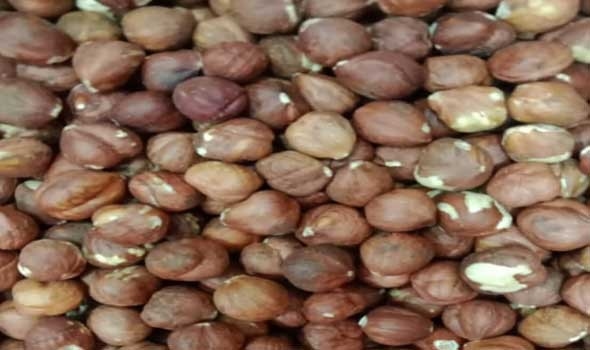 أفضل وقت لتناول المكسرات لفقدان الوزن وتعزيز الطاقة وصحة القلب