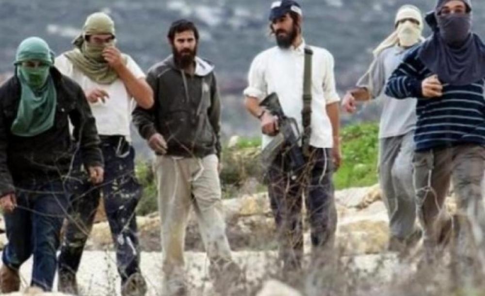 شهيدان برصاص الصهاينة في الضفة المحتلة