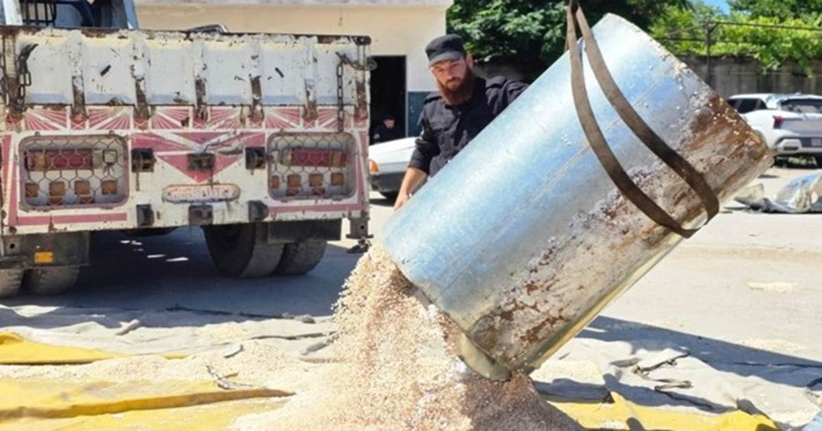 اللاذقية: إحباط تهريب 4 ملايين حبة "كبتاغون" لخارج سوريا