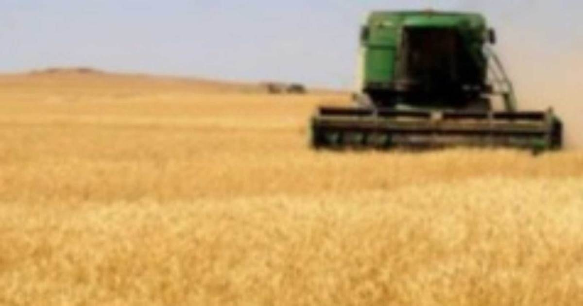 القمح العراقي يصل سوريا.. حكومة الشرع تستغني عن روسيا