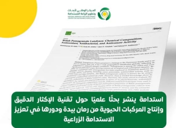 'استدامة' ينشر بحثًا علميًّا حول تقنية الإكثار الدقيق وإنتاج المركبات الحيوية من رمان بيدة