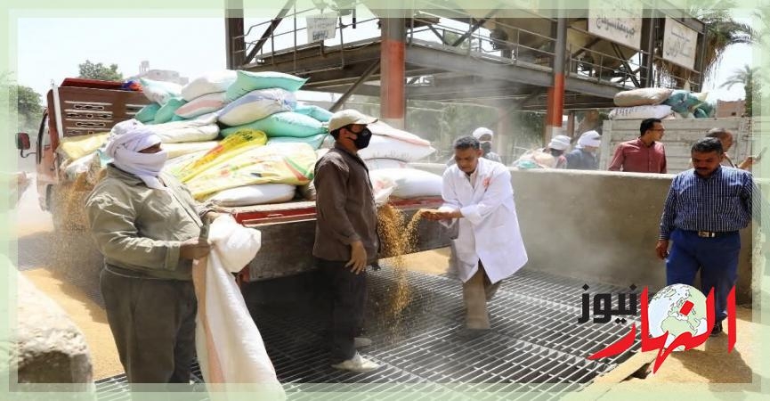 محافظ سوهاج : صرف مليار و783 مليون جنيه مستحقات للمزارعين