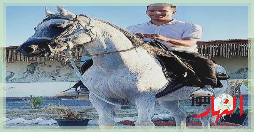 الكاتب الصحفي مصطفى جمعة يكتب : أكاديمية الفرسان في 'قنا'نموذج لا يوازيه إلا مدرسة اللعبة في 'فيينا'