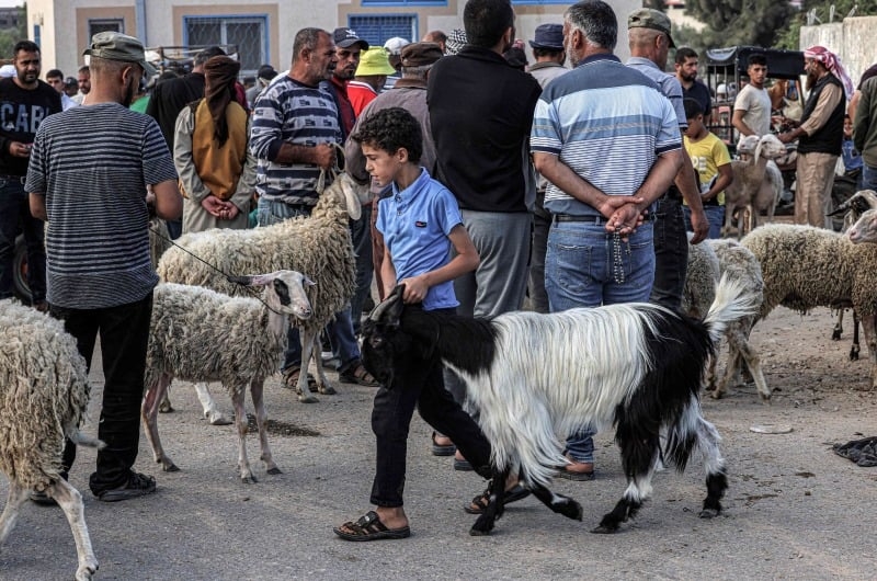 غزة بلا أضاحٍ.. إسرائيل تقضي على شعائر العيد للعام الثاني