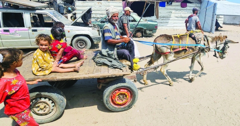 حرب التجويع... 900 شهيد في غزة