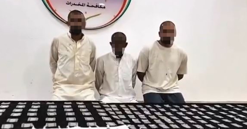 «الداخلية»: ضبط تشكيل إجرامي مسلح بحوزته كميات كبيرة من المواد المخدرة والأسلحة النارية