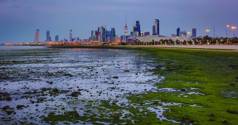«باركود» خاص... للكشف عن الطحالب السامة في مياه الخليج