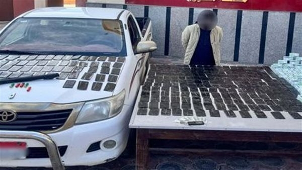 السجن المشدد لتاجر مخدرات الإسكندرية.. بحوزته 500 طربة حشيش