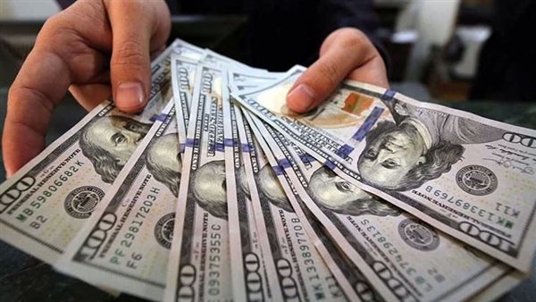 استقرار الدولار يربك توقعات السوق.. والبنوك تترقّب