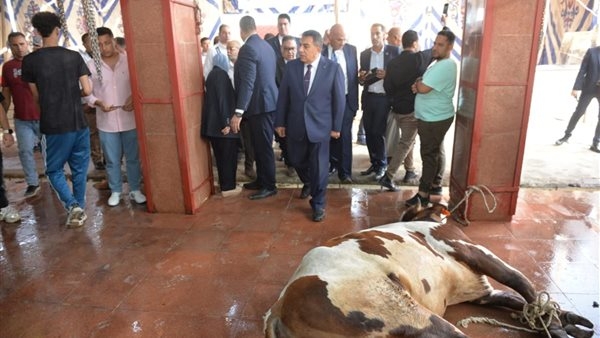محافظ الدقهلية يشهد ذبح الأضاحي بمجزر طنامل مركز أجا لتوزيعها على الأسر الأولى بالرعاية