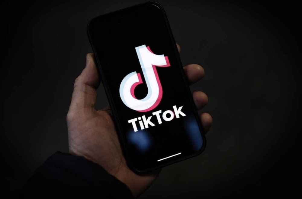 منصة TikTok فرعية للفنانين