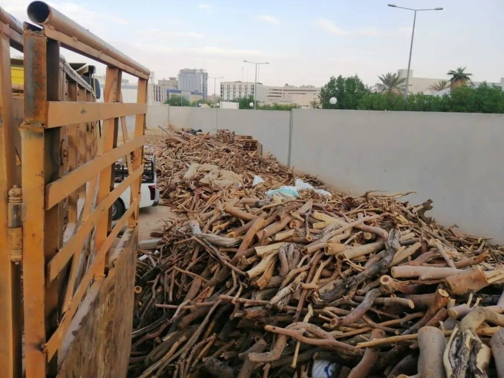 بيئتنا كنز.. تعزيز للاستدامة وصون للموارد من التلوث